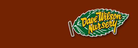 Dave Wilson Nursery brand at Urban Tree Farm