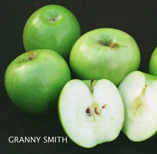 Fruit Apple Granny Smith a