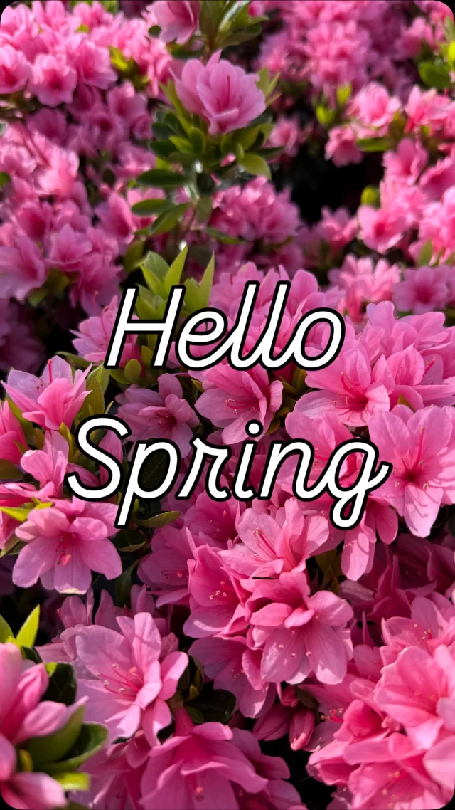 Ahh, spring—a welcome breath of fresh air.
Flowers of all colors are blooming, bees are buzzing, and fresh green leaves are unfurling once again. It’s the season to plant, and the nursery is calling your name.